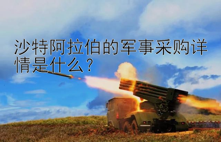 沙特阿拉伯的军事采购详情是什么？