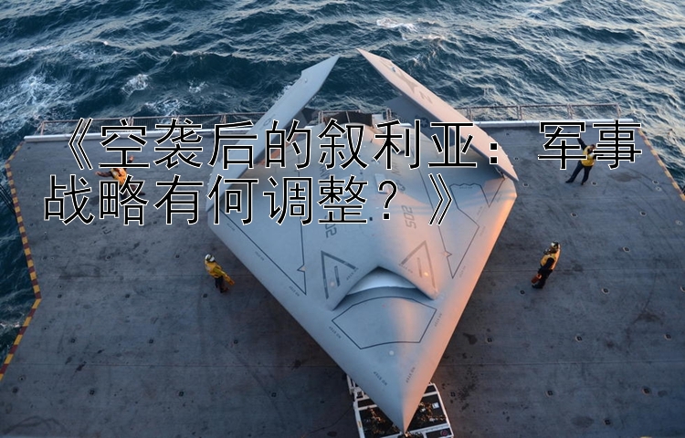 《空袭后的叙利亚：军事战略有何调整？》