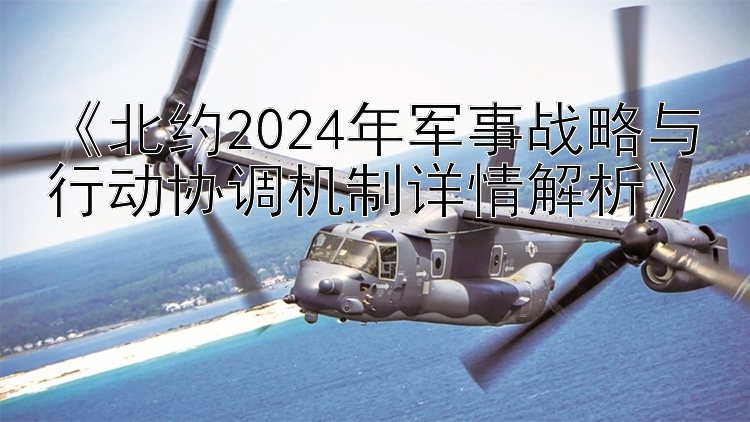 《北约2024年军事战略与行动协调机制详情解析》