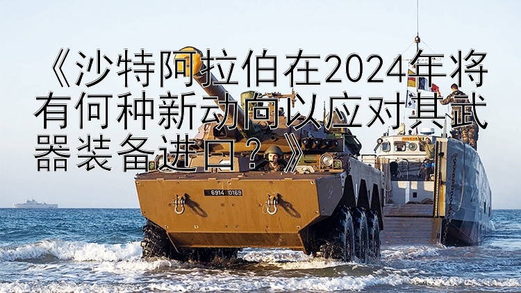 《沙特阿拉伯在2024年将有何种新动向以应对其武器装备进口？》