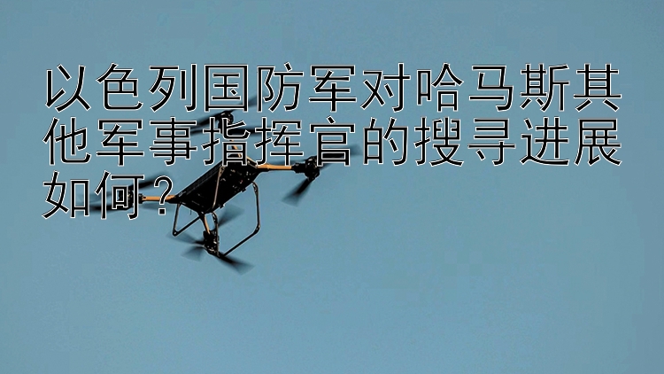 以色列国防军对哈马斯其他军事指挥官的搜寻进展如何？