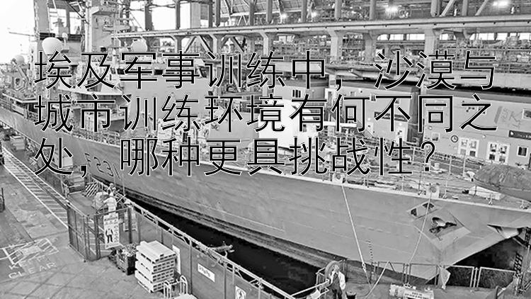 埃及军事训练中，沙漠与城市训练环境有何不同之处，哪种更具挑战性？